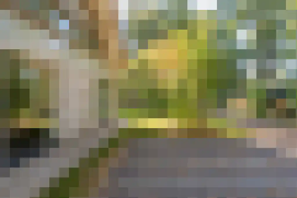 Gijsselterweg 30 11 Ruinen thumbnail 35