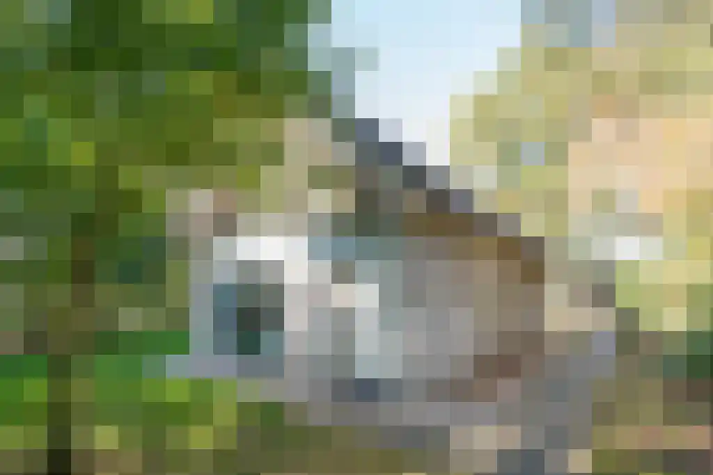 Gijsselterweg 30 11 Ruinen thumbnail 37
