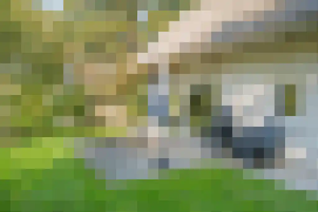 Gijsselterweg 30 11 Ruinen thumbnail 38