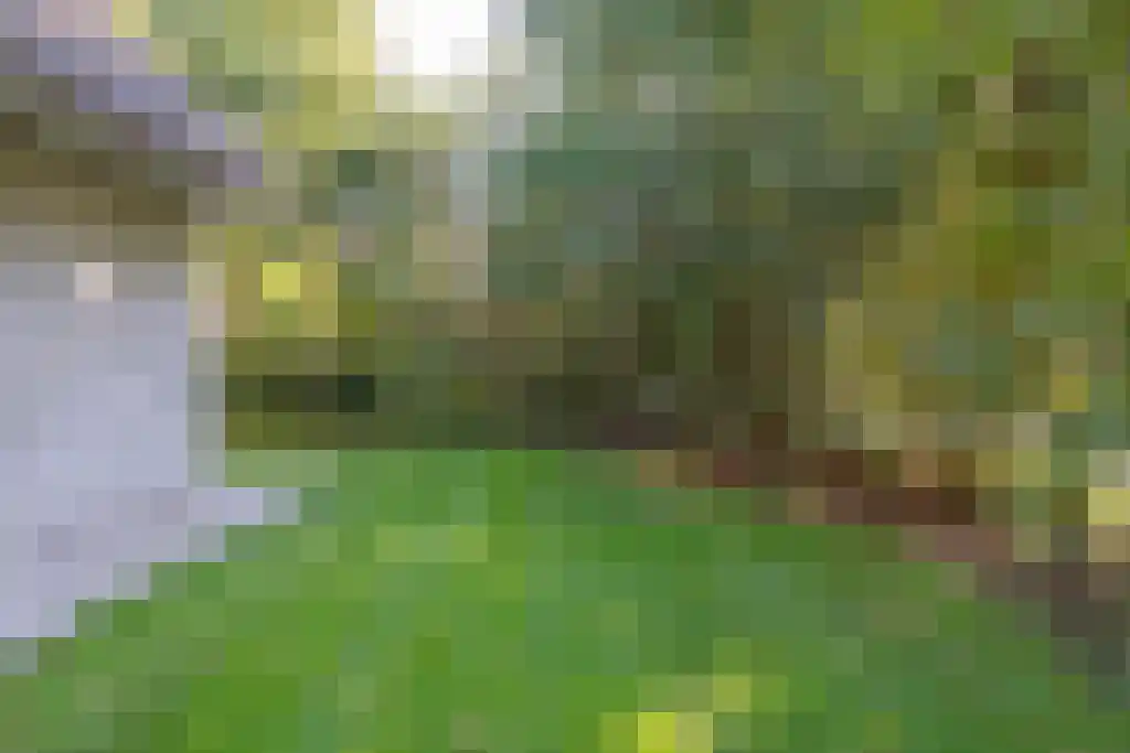 Gijsselterweg 30 11 Ruinen thumbnail 40