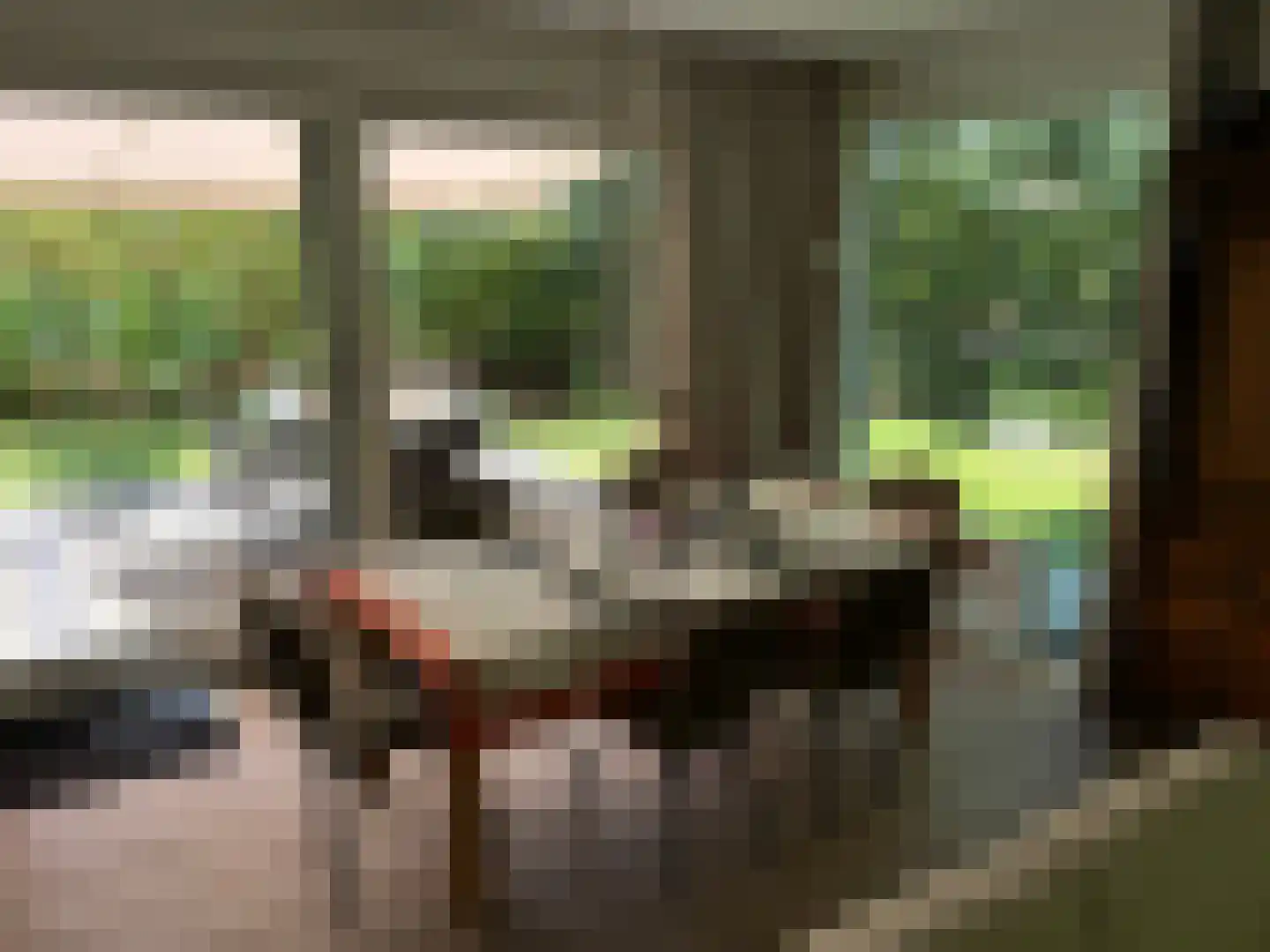 Gijsselterweg 30 15 Ruinen thumbnail 10