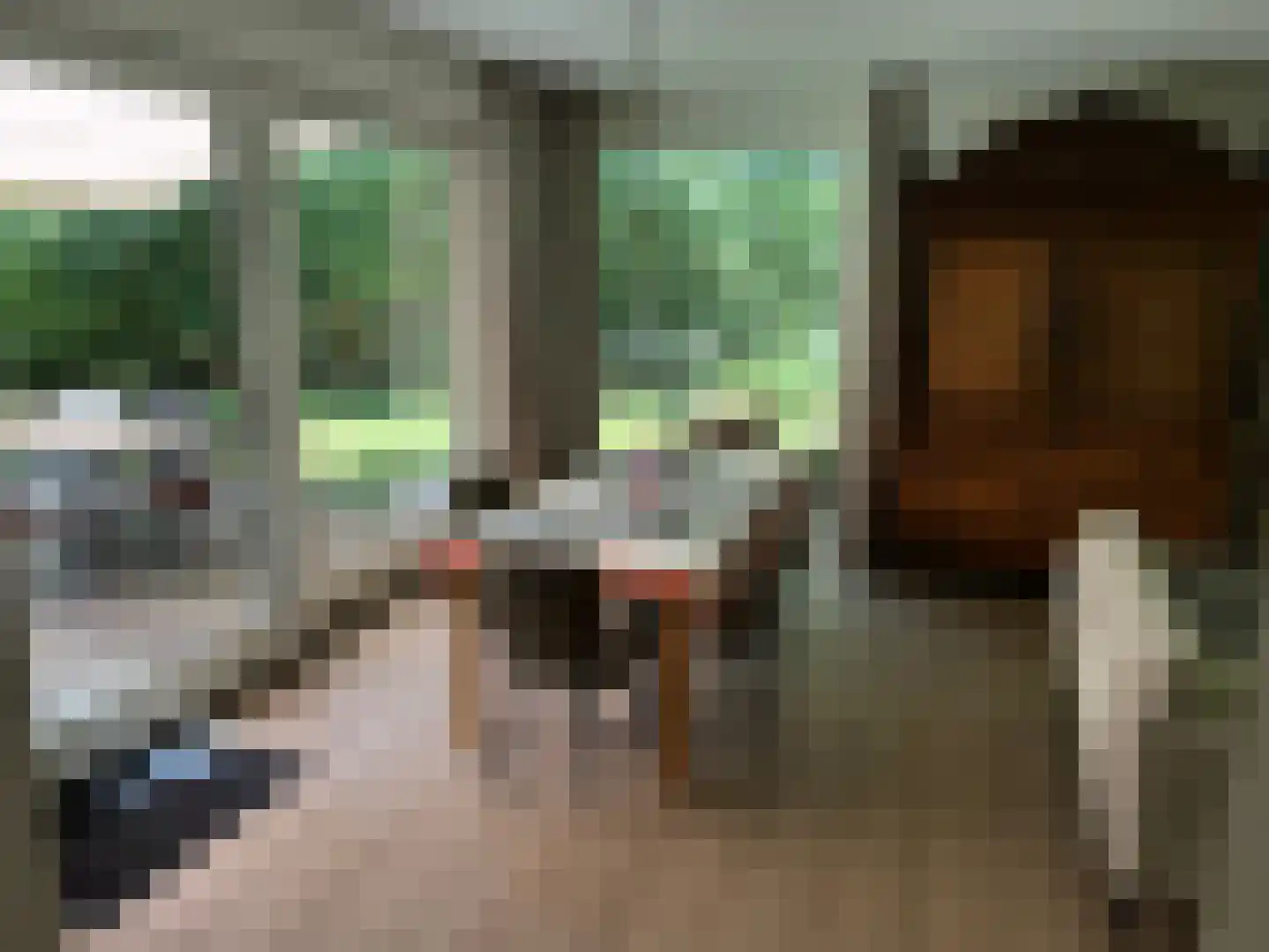 Gijsselterweg 30 15 Ruinen thumbnail 11