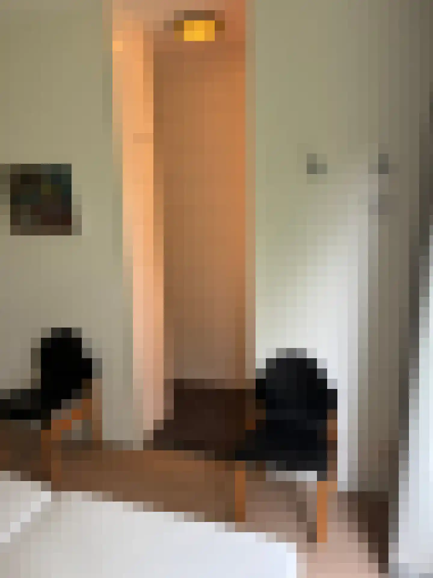 Gijsselterweg 30 15 Ruinen thumbnail 17
