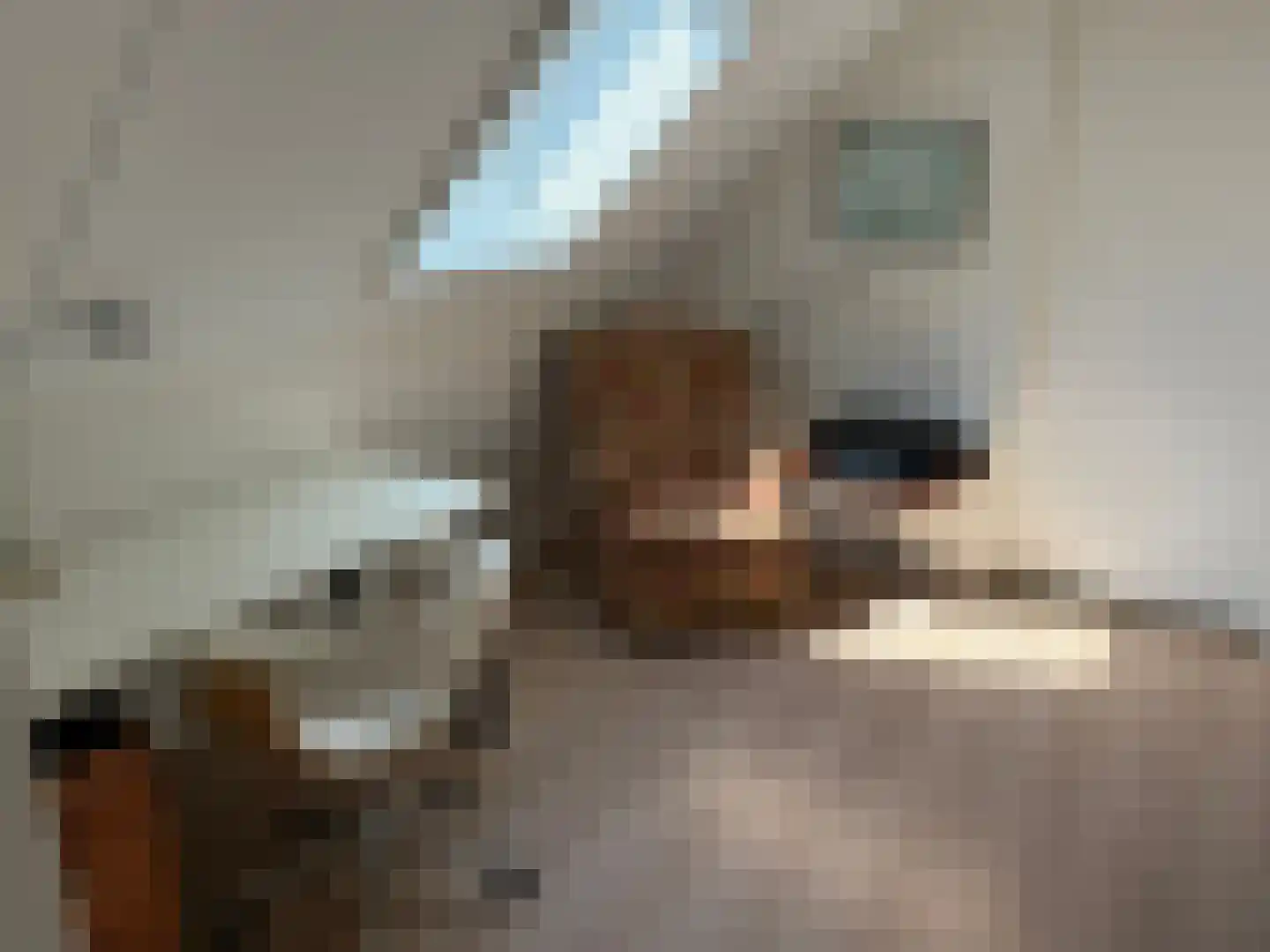 Gijsselterweg 30 15 Ruinen thumbnail 19