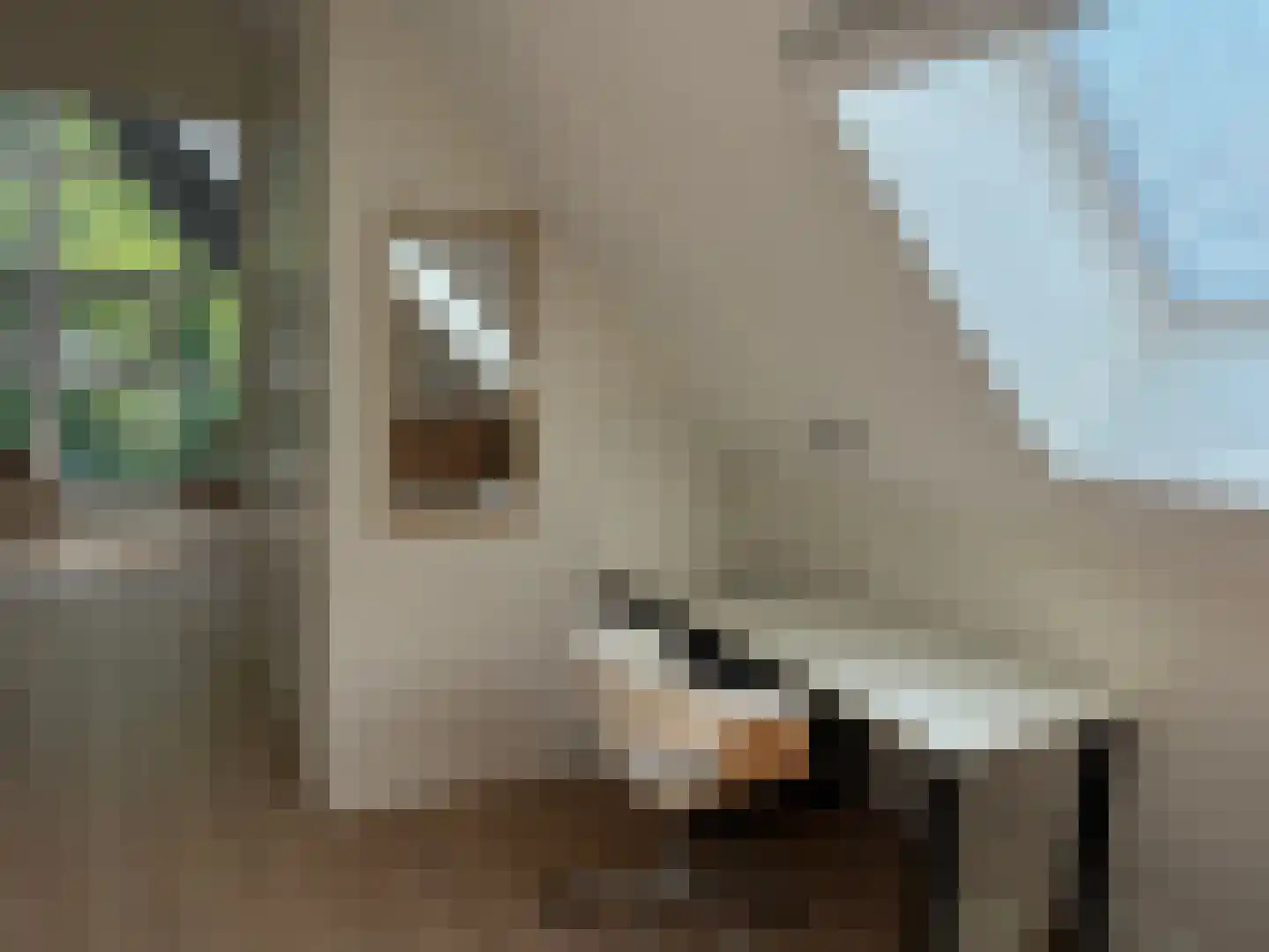Gijsselterweg 30 15 Ruinen thumbnail 22
