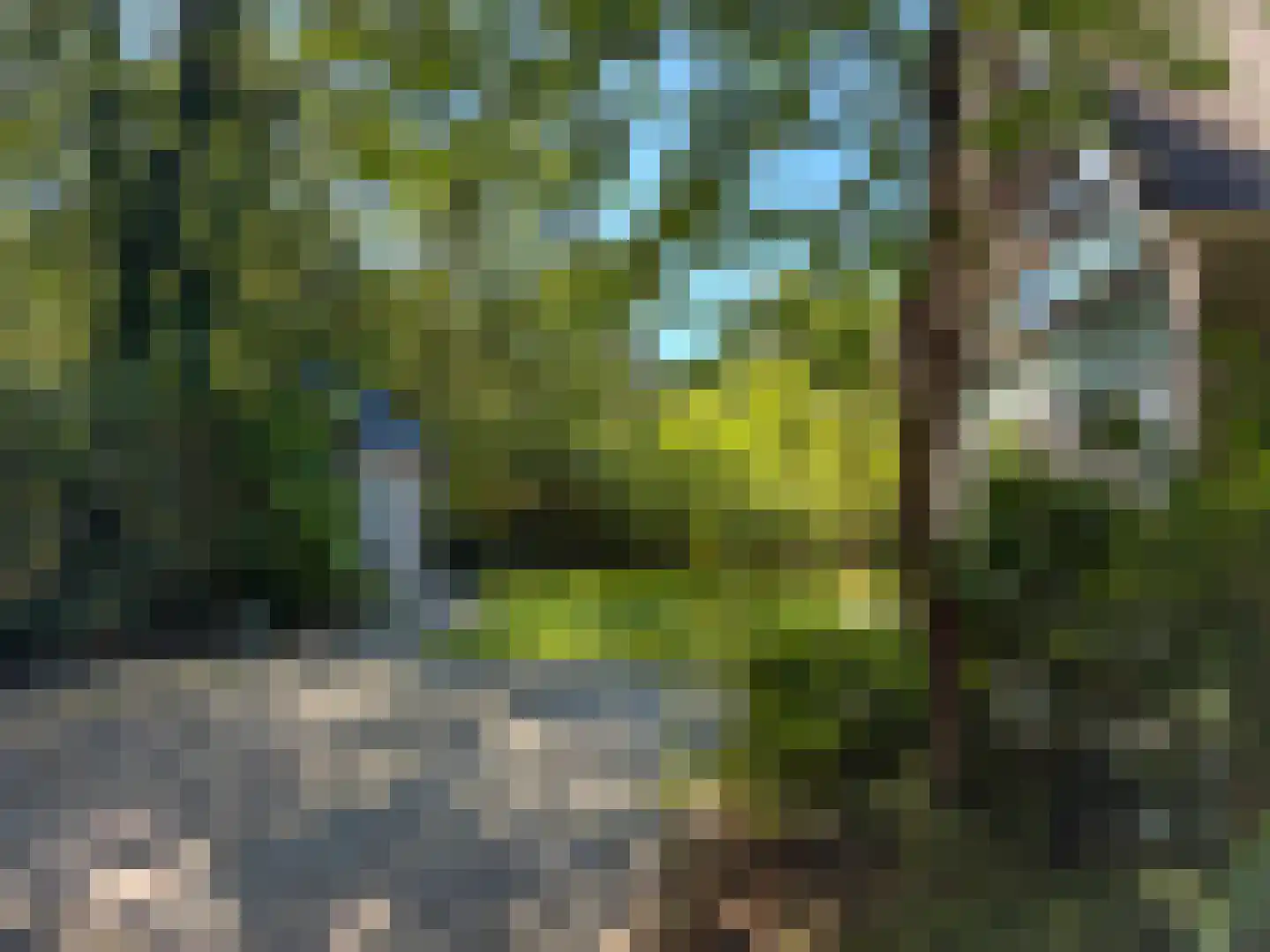 Gijsselterweg 30 15 Ruinen thumbnail 4