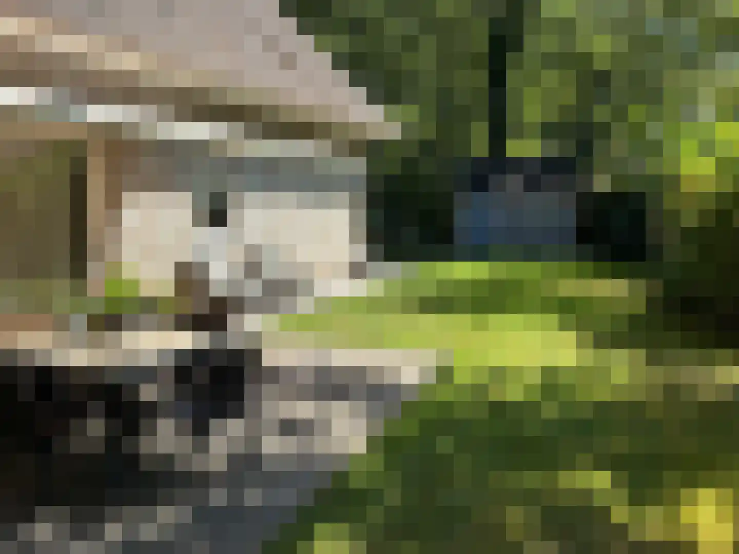 Gijsselterweg 30 15 Ruinen thumbnail 6