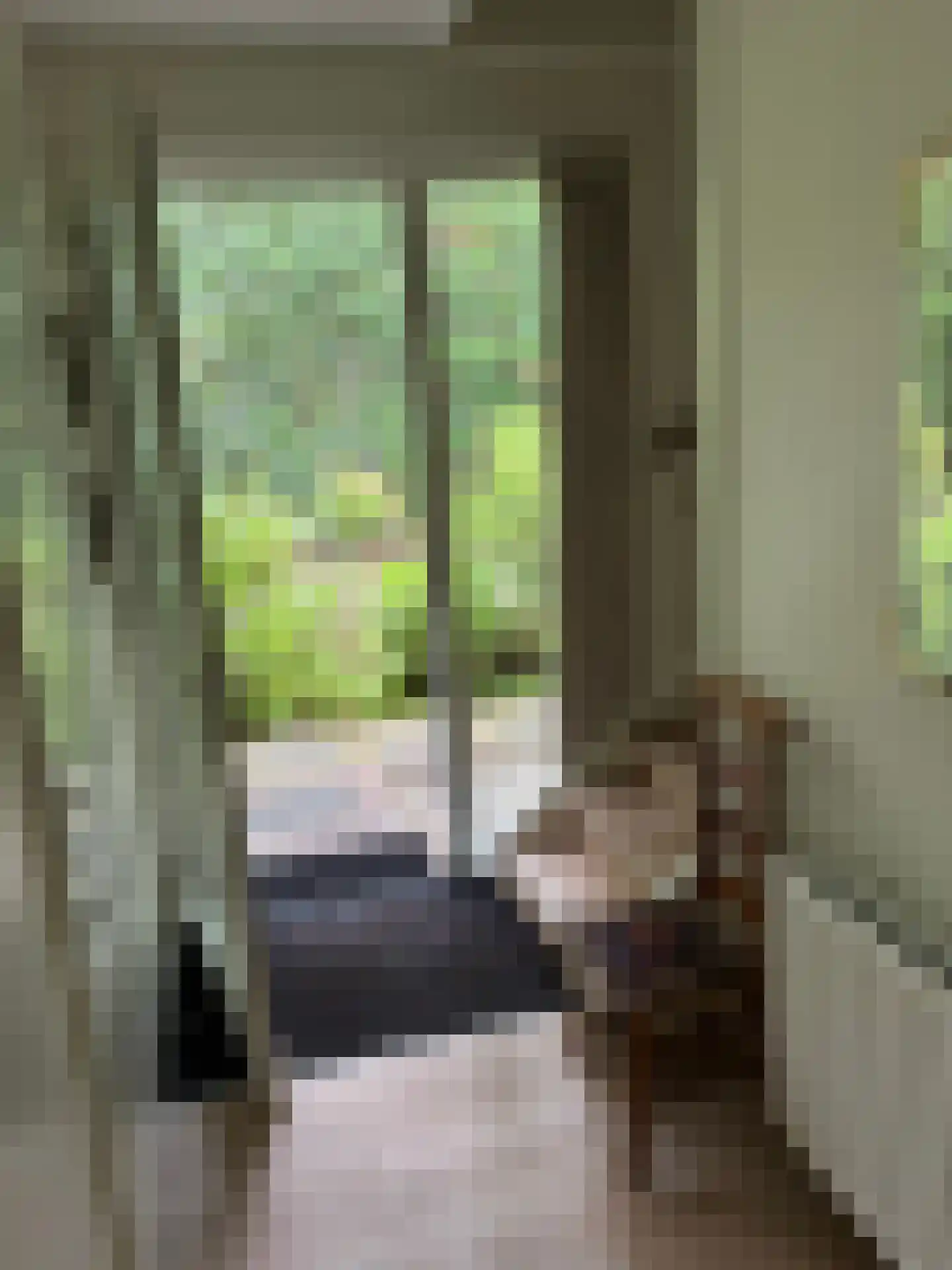 Gijsselterweg 30 15 Ruinen thumbnail 7