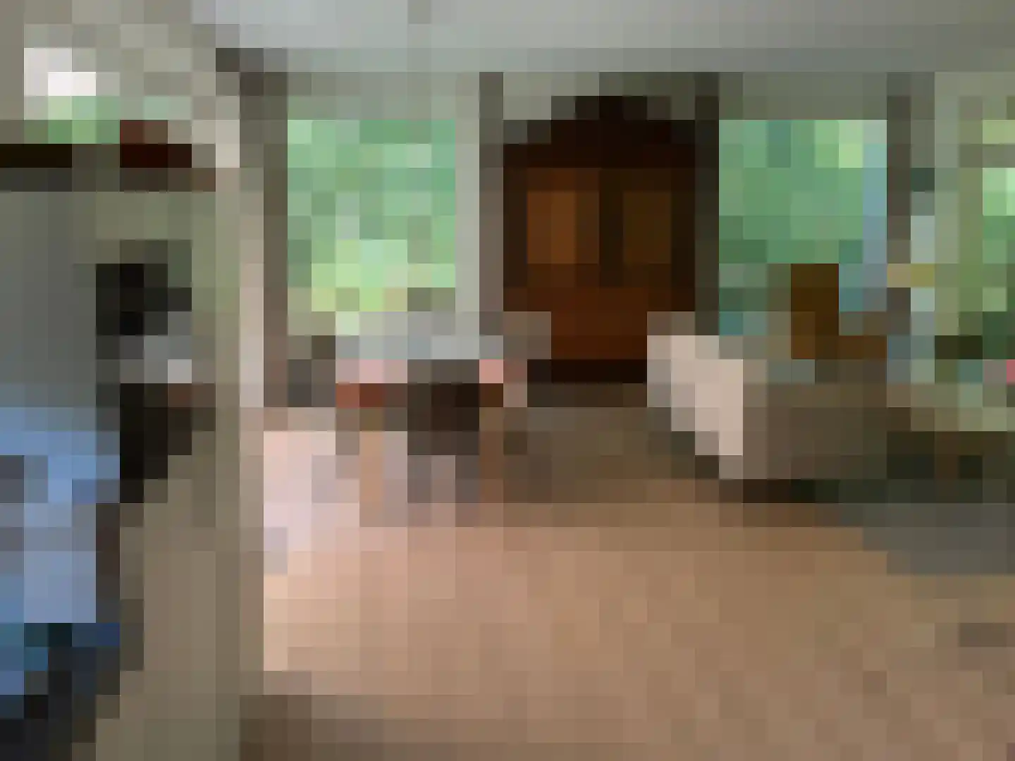 Gijsselterweg 30 15 Ruinen thumbnail 8