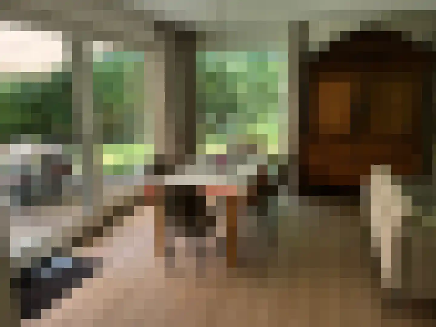 Gijsselterweg 30 15 Ruinen thumbnail 9