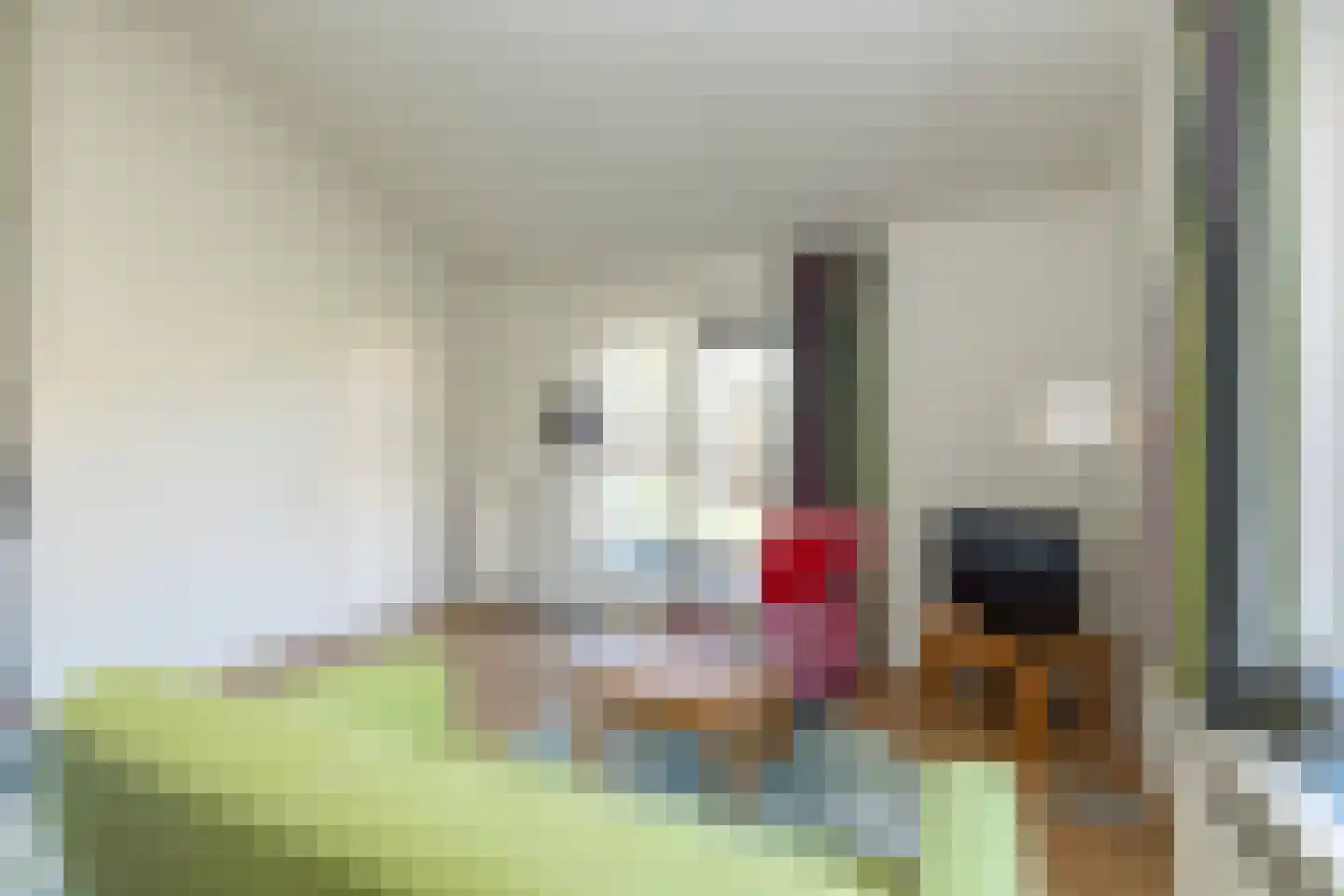 Gijsselterweg 30 20 Ruinen thumbnail 13