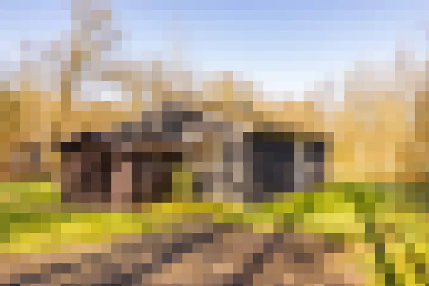 Gijsselterweg 30 20 Ruinen thumbnail 36