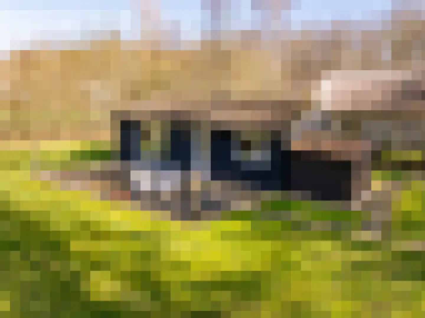 Gijsselterweg 30 20 Ruinen thumbnail 39