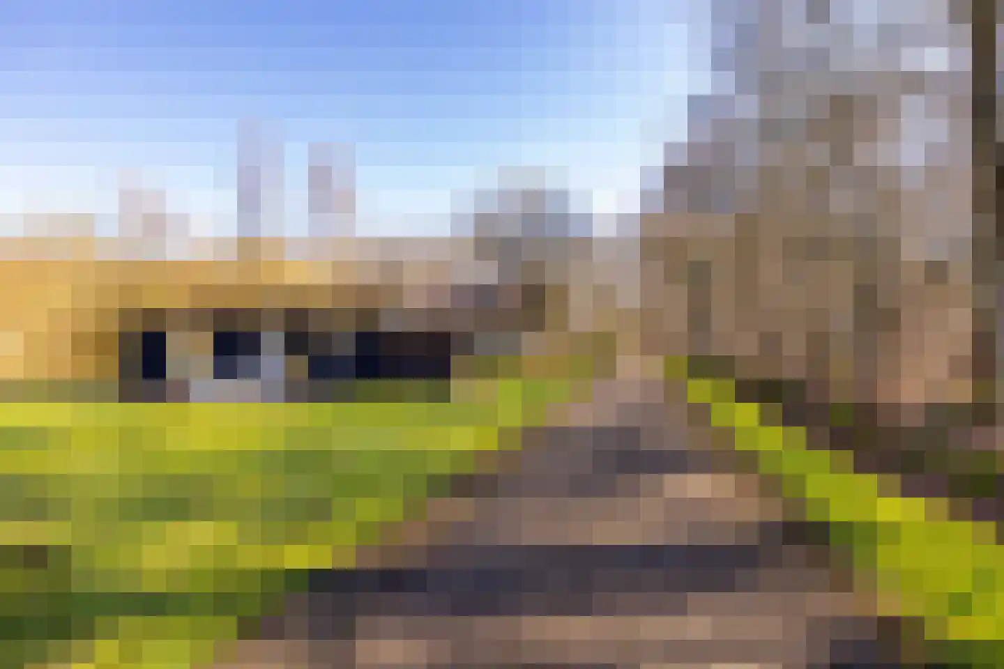 Gijsselterweg 30 20 Ruinen thumbnail 42
