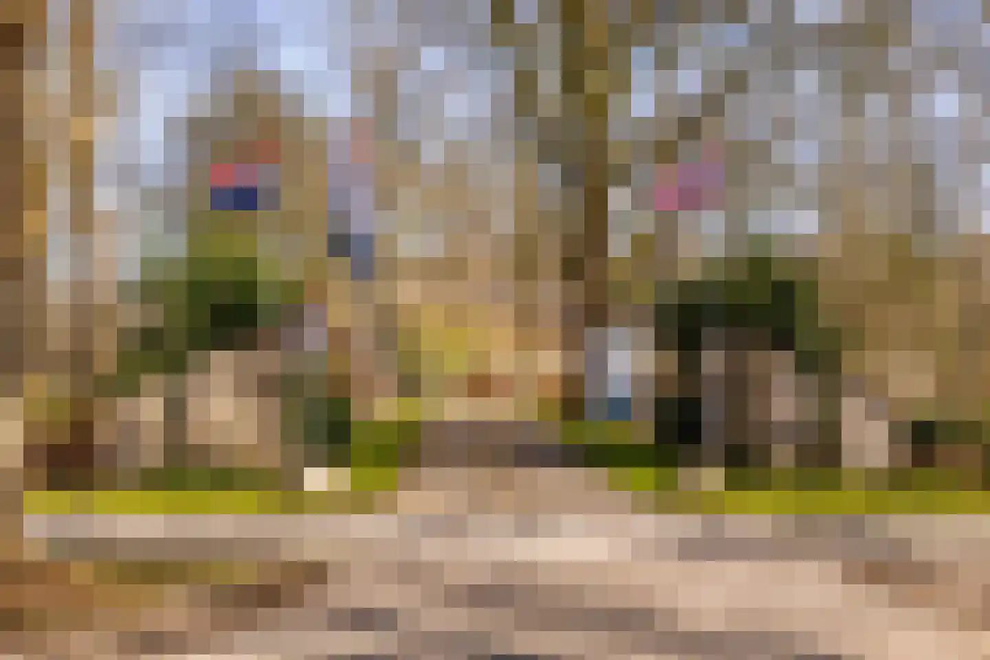 Gijsselterweg 30 20 Ruinen thumbnail 43