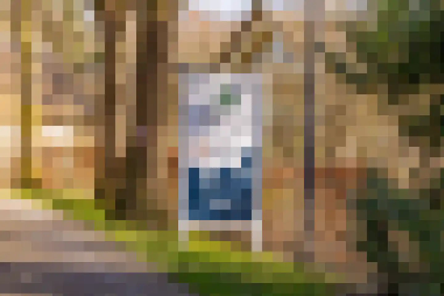 Gijsselterweg 30 20 Ruinen thumbnail 44