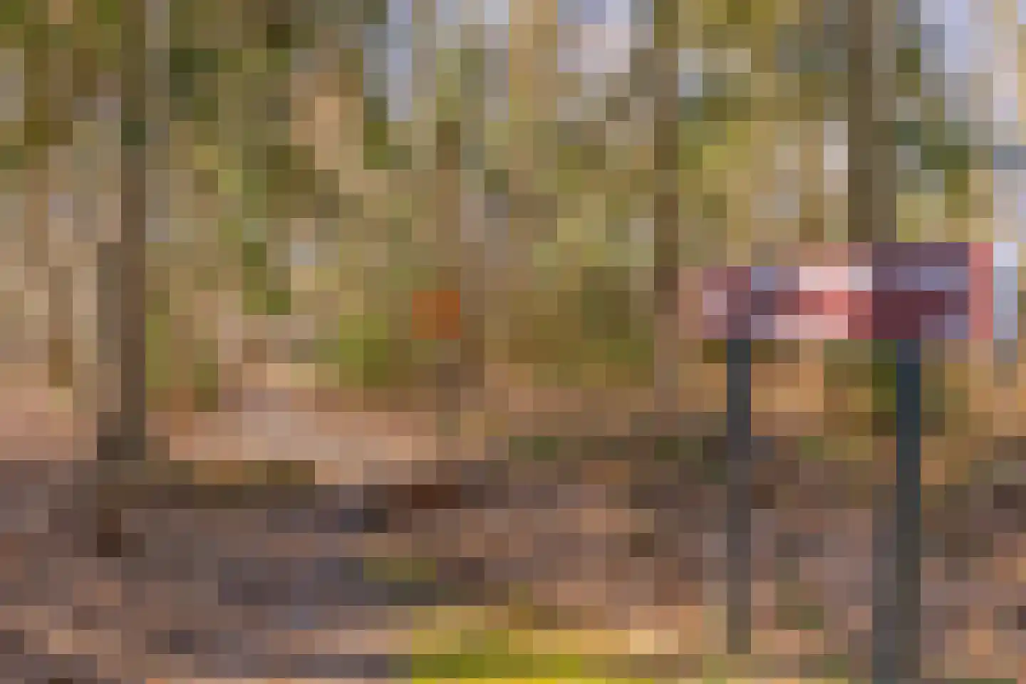 Gijsselterweg 30 20 Ruinen thumbnail 45