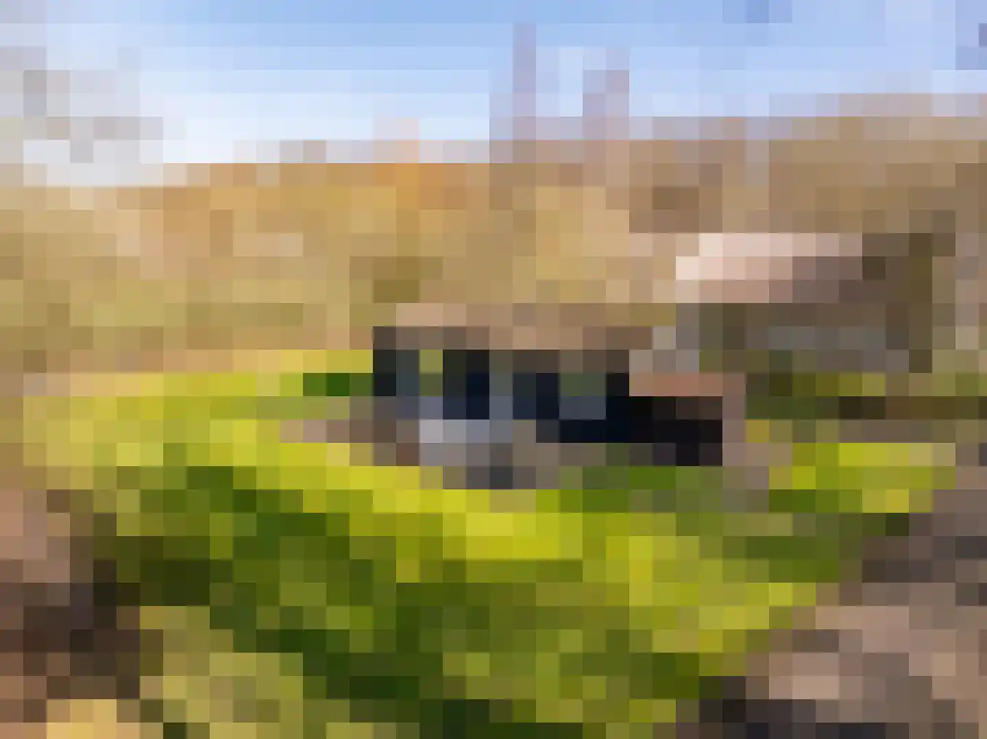 Gijsselterweg 30 20 Ruinen thumbnail 5