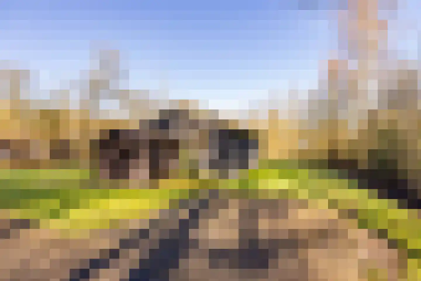 Gijsselterweg 30 20 Ruinen thumbnail 6
