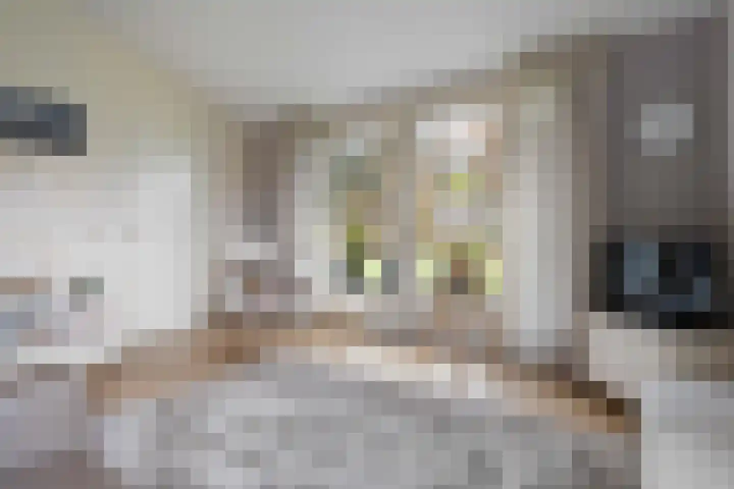 Gijsselterweg 30 33 Ruinen thumbnail 16