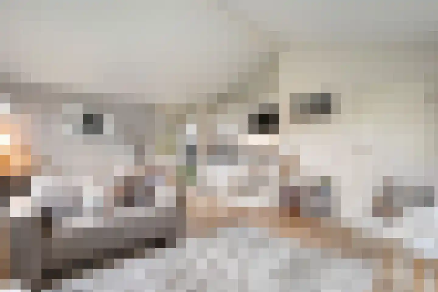 Gijsselterweg 30 33 Ruinen thumbnail 17