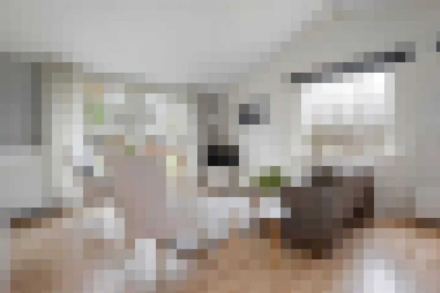Gijsselterweg 30 33 Ruinen thumbnail 22