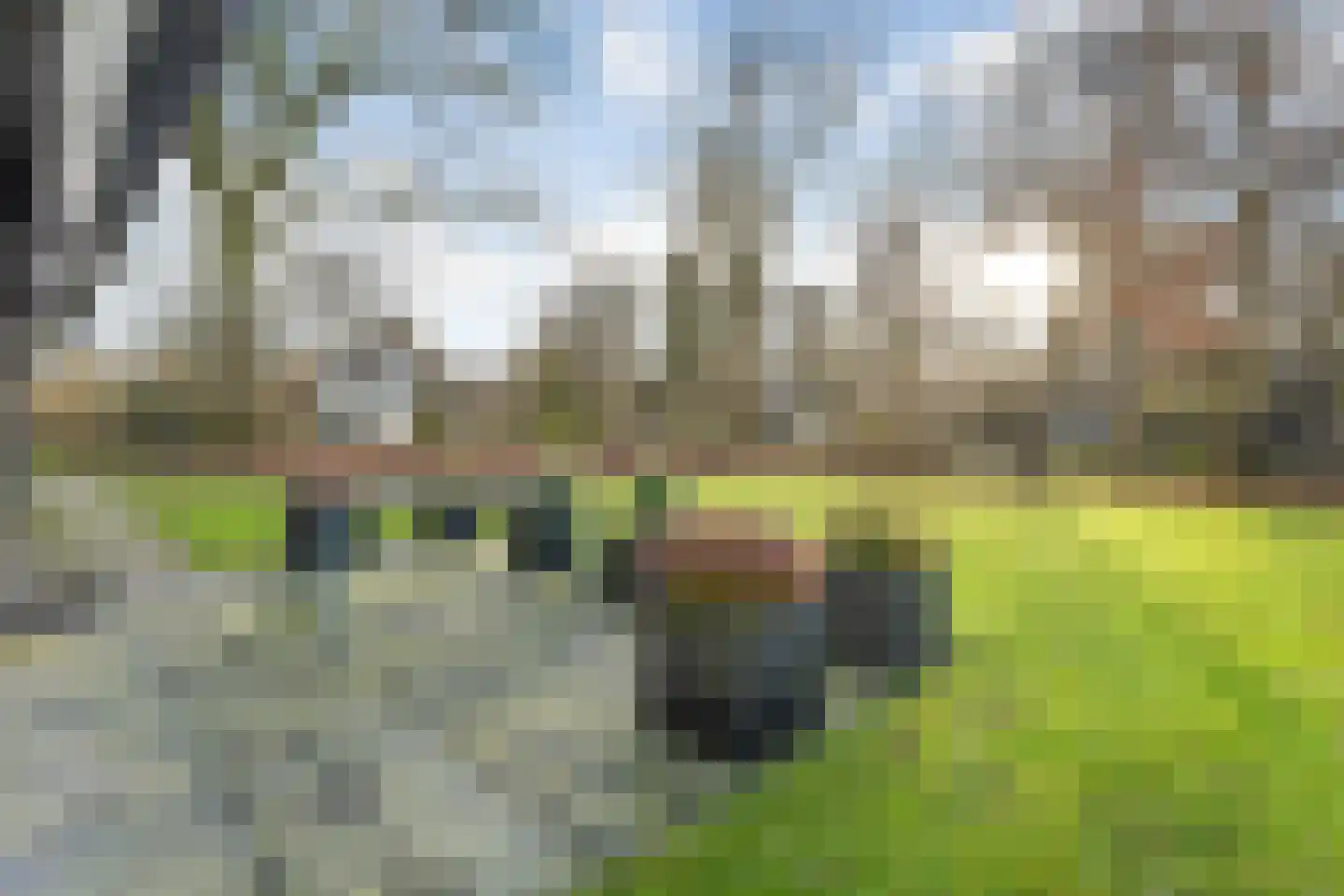 Gijsselterweg 30 33 Ruinen thumbnail 33