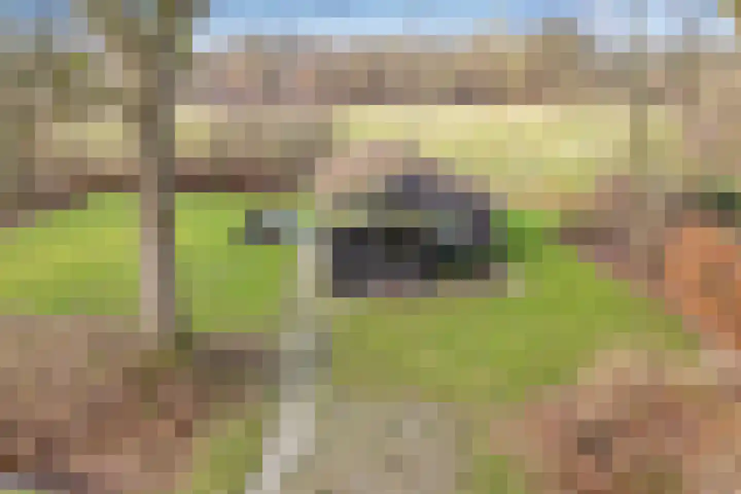 Gijsselterweg 30 33 Ruinen thumbnail 7