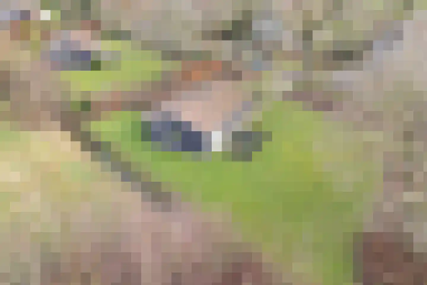 Gijsselterweg 30 33 Ruinen thumbnail 8