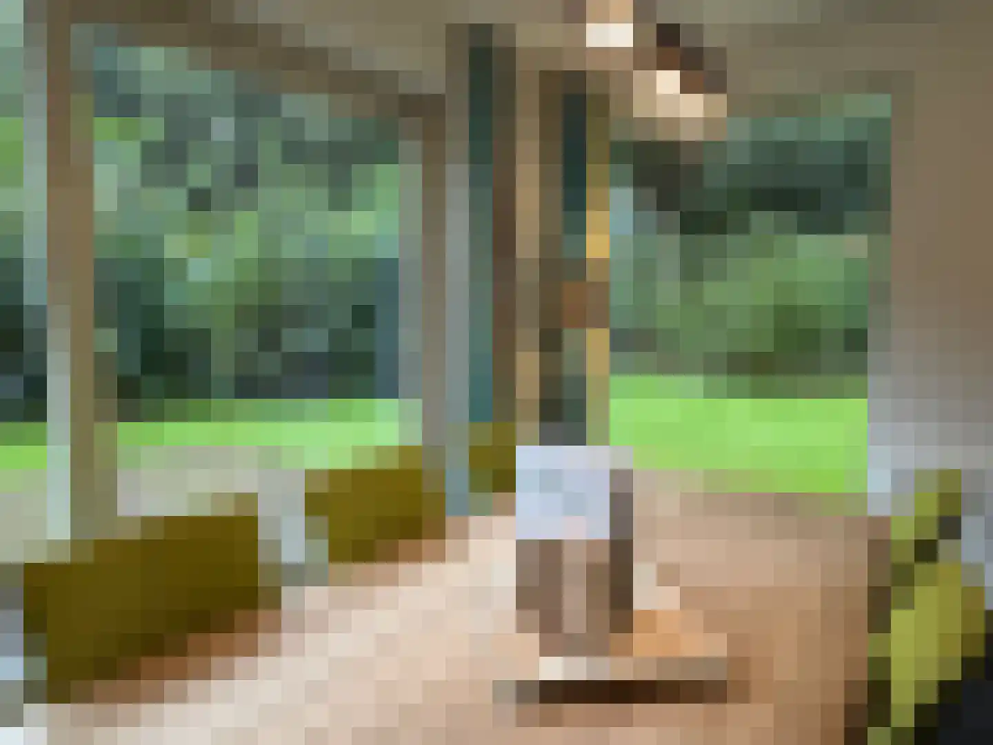 Gijsselterweg 30 5 Ruinen thumbnail 30