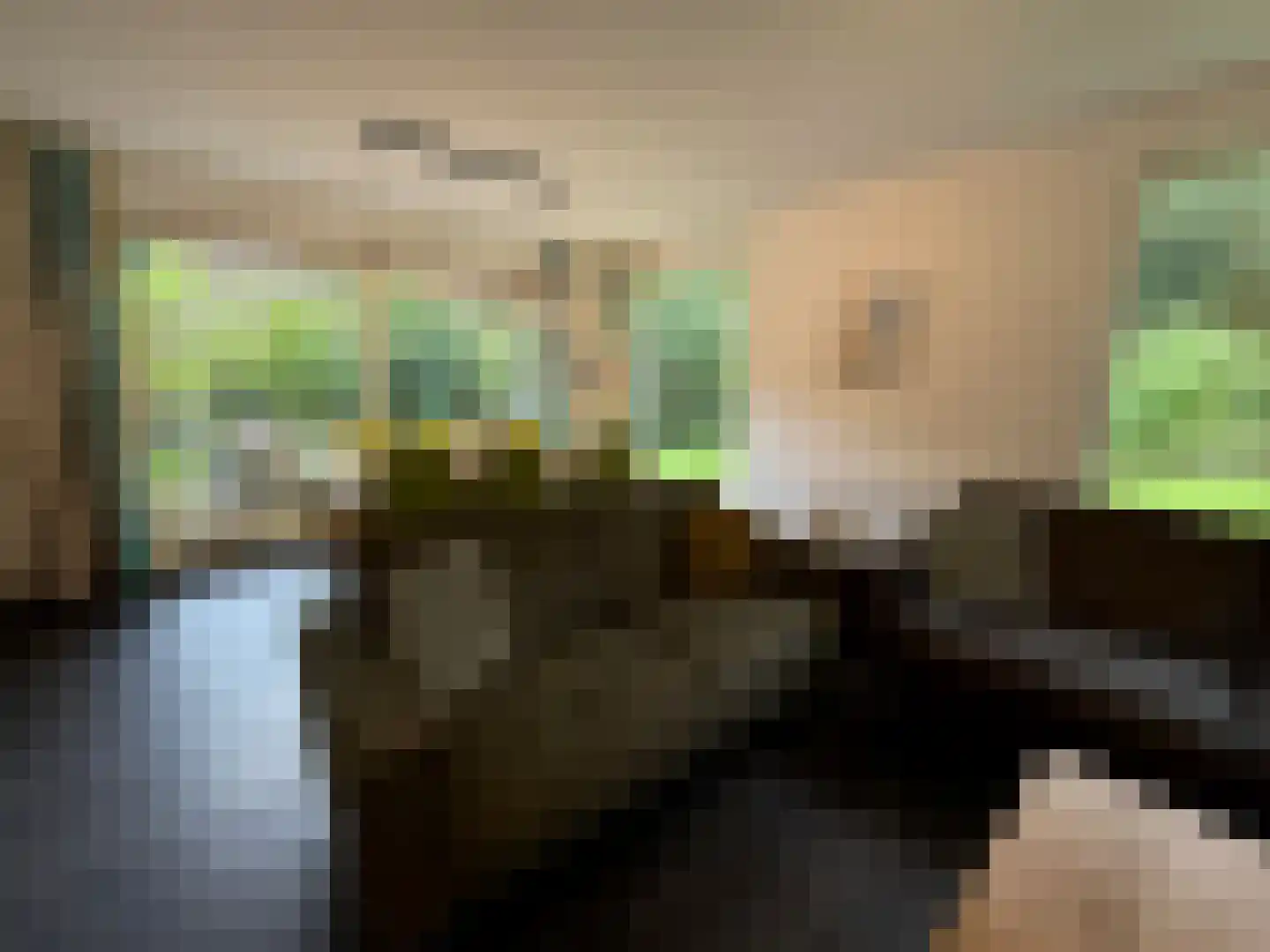 Gijsselterweg 30 5 Ruinen thumbnail 31