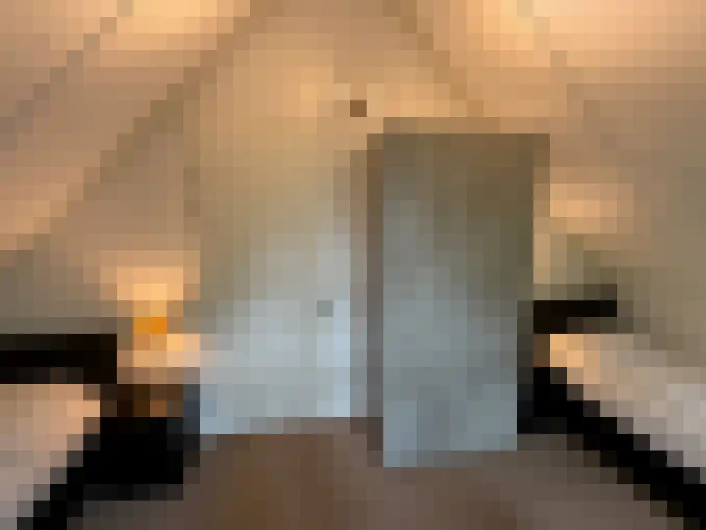 Gijsselterweg 30 5 Ruinen thumbnail 36