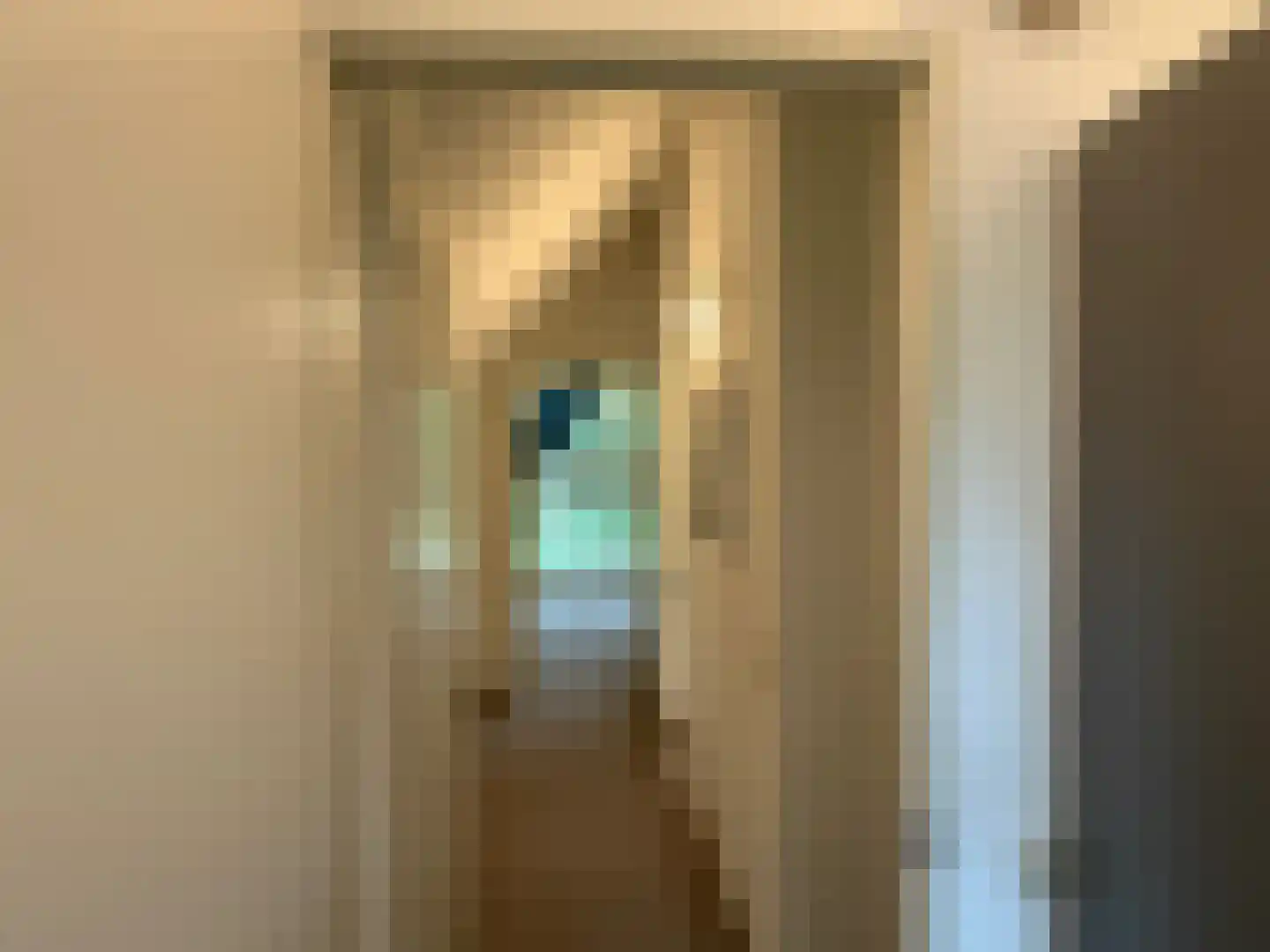 Gijsselterweg 30 5 Ruinen thumbnail 37
