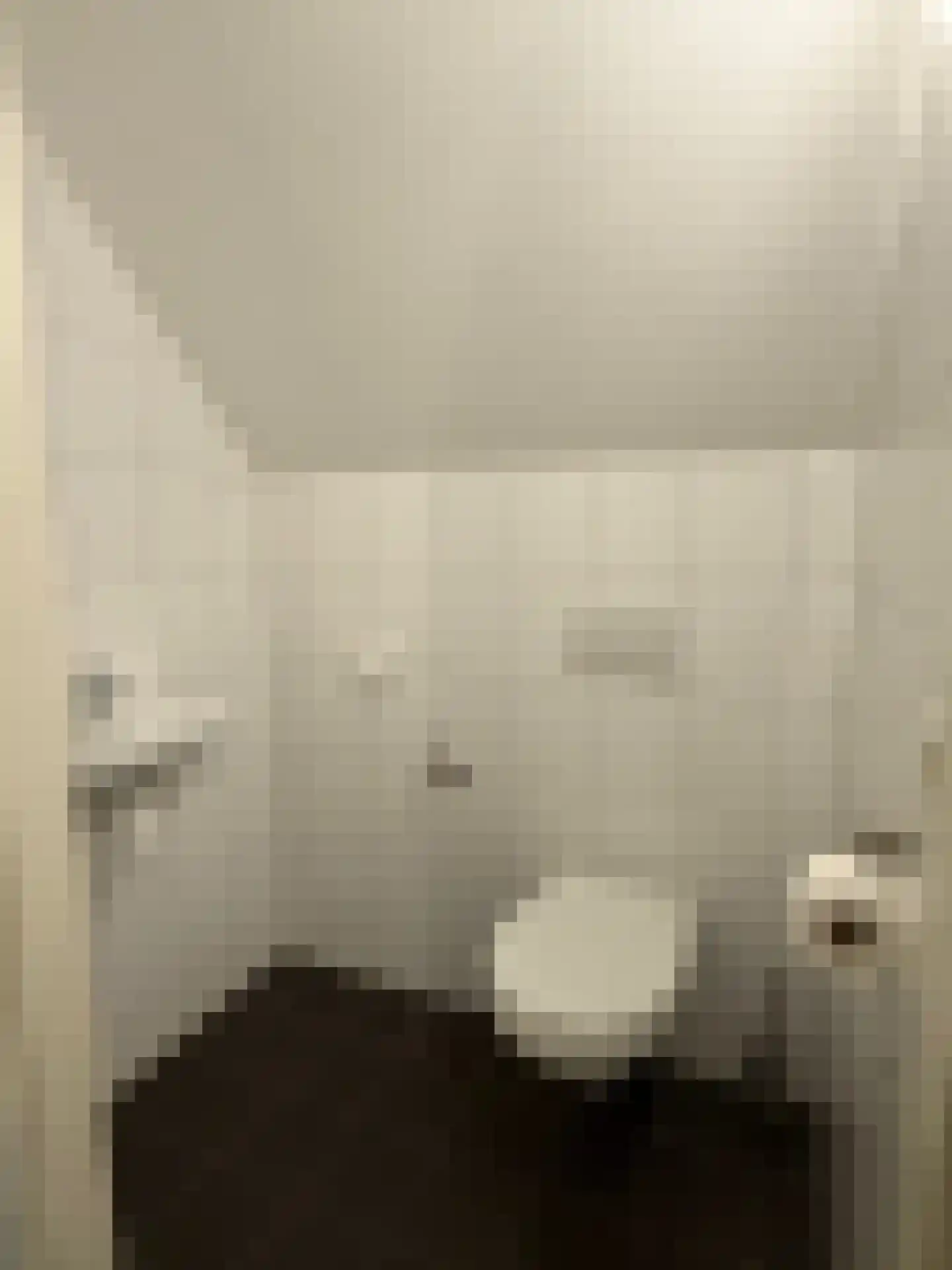 Gijsselterweg 30 5 Ruinen thumbnail 40