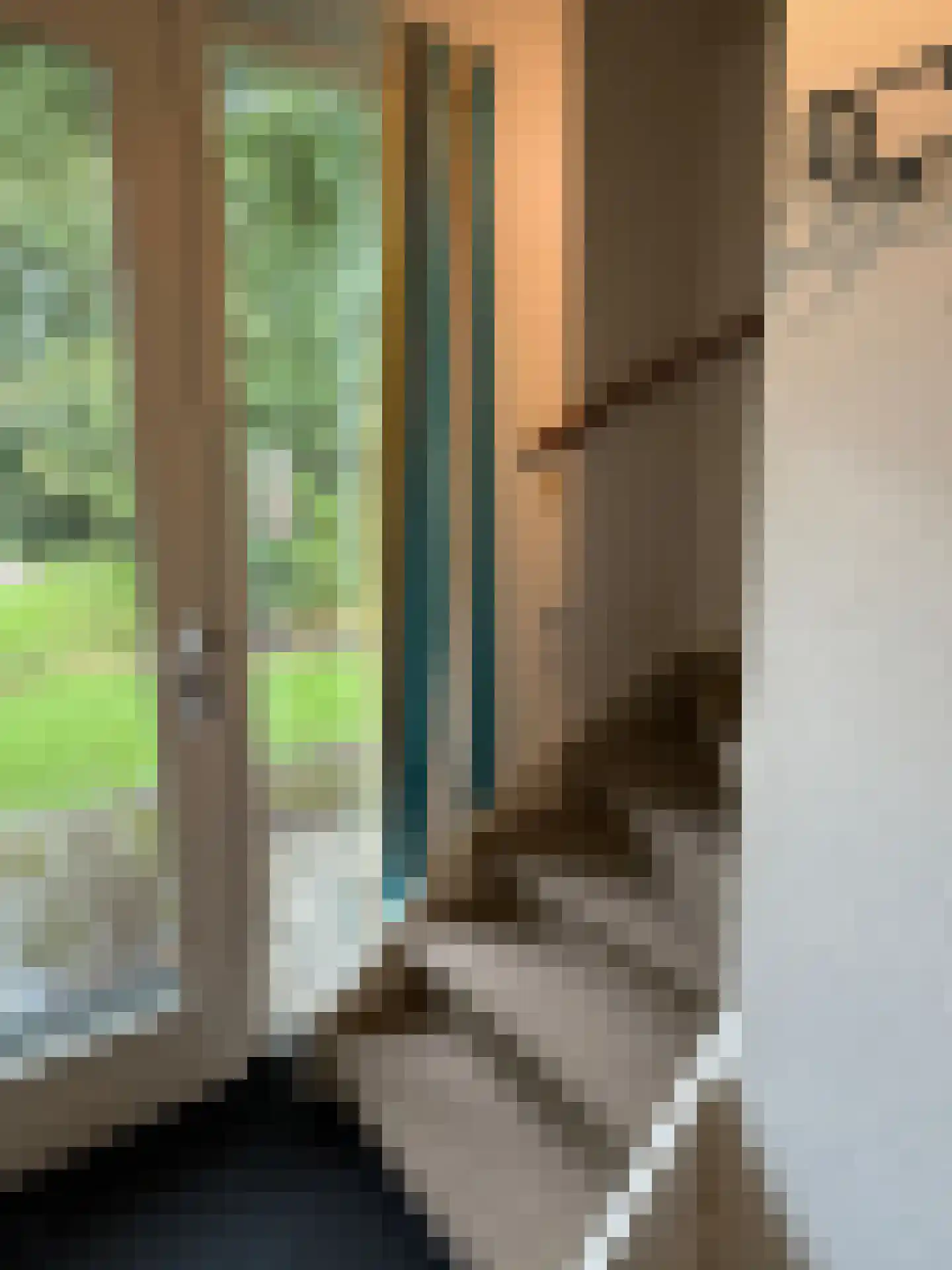 Gijsselterweg 30 5 Ruinen thumbnail 44