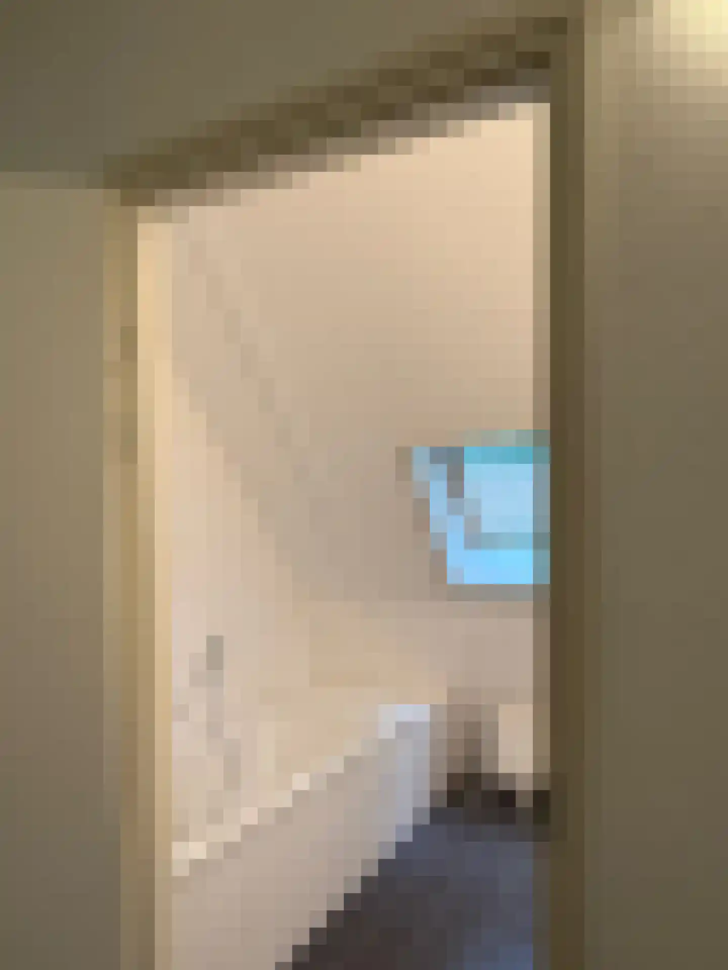 Gijsselterweg 30 5 Ruinen thumbnail 45