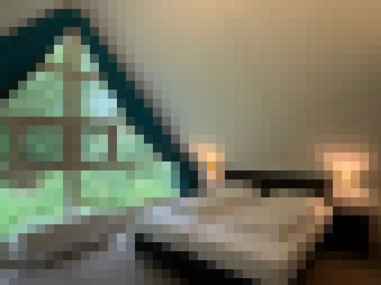Gijsselterweg 30 5 Ruinen thumbnail 48