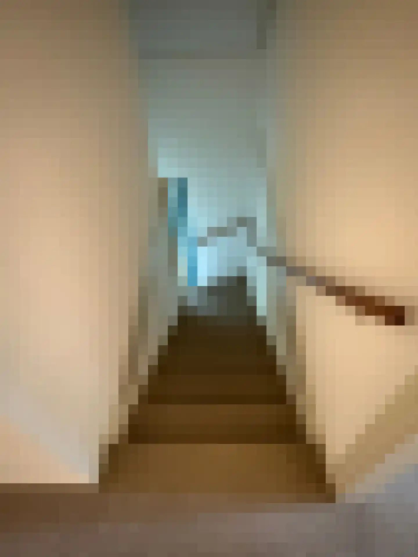Gijsselterweg 30 5 Ruinen thumbnail 58