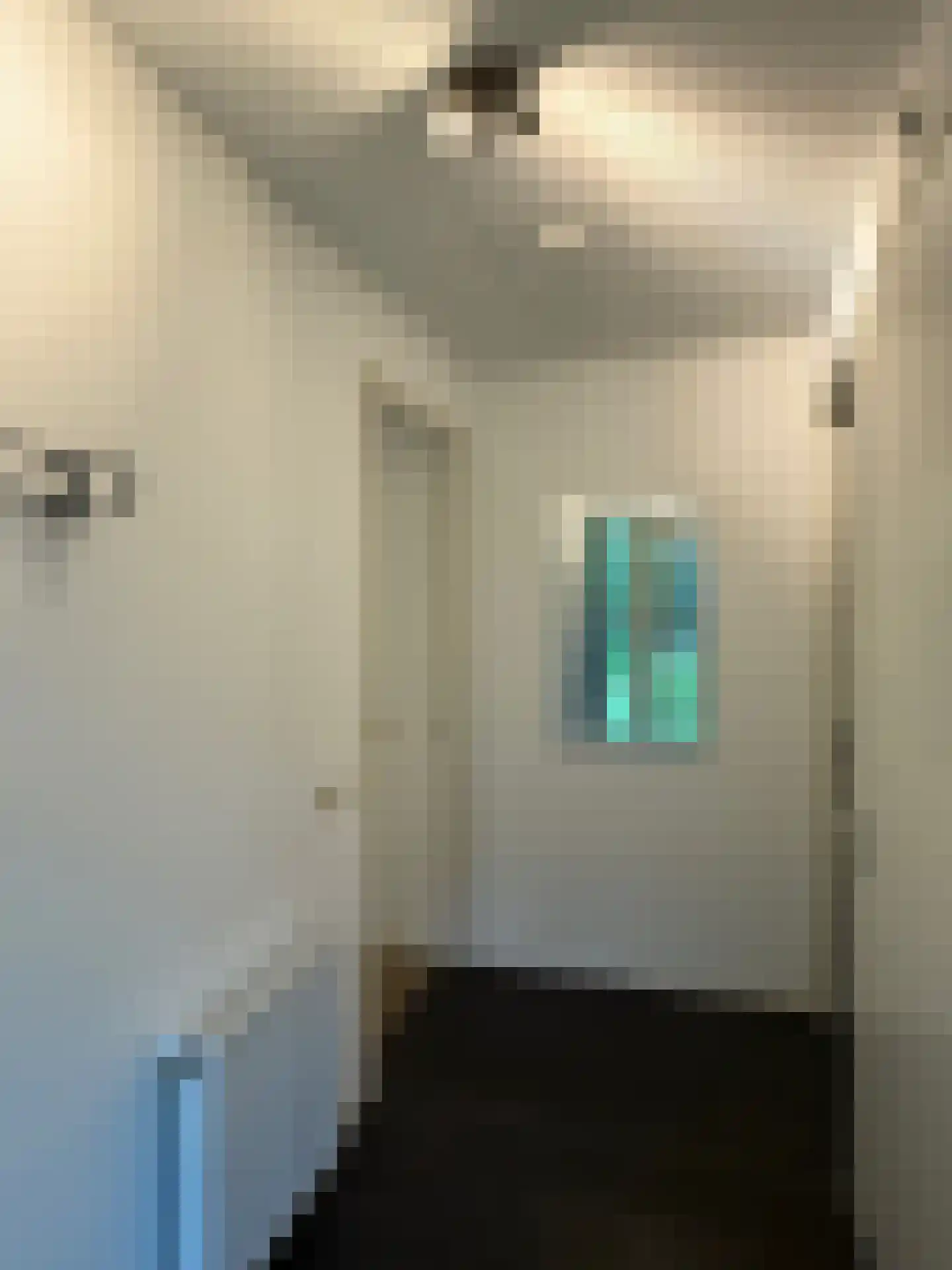 Gijsselterweg 30 5 Ruinen thumbnail 6