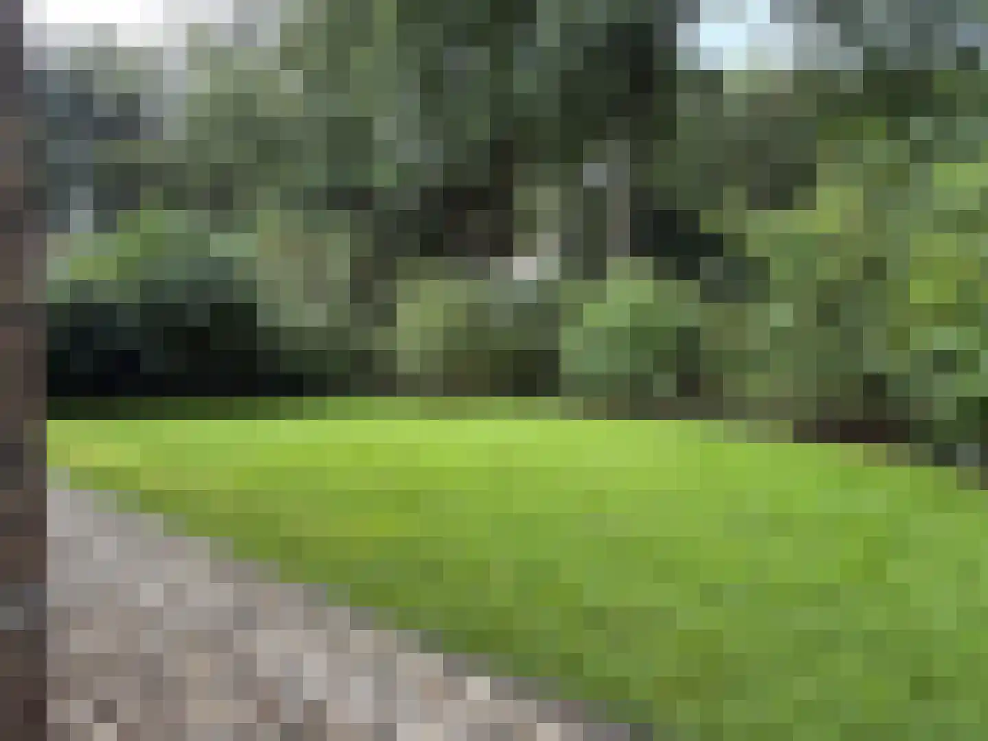 Gijsselterweg 30 5 Ruinen thumbnail 63