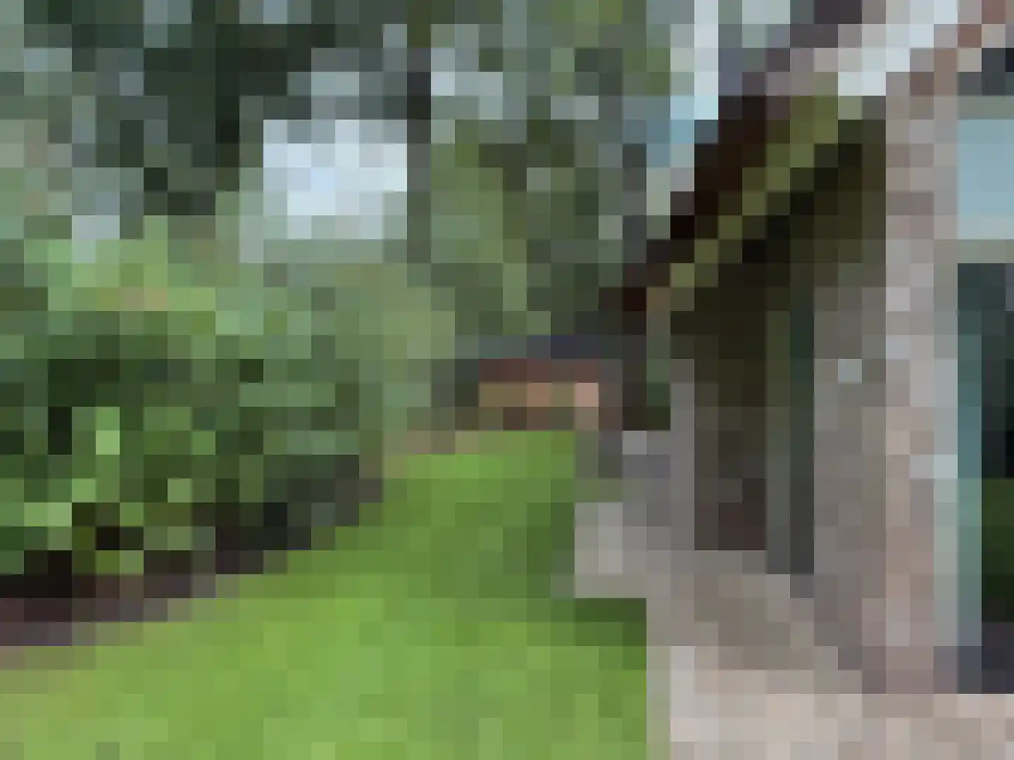 Gijsselterweg 30 5 Ruinen thumbnail 64