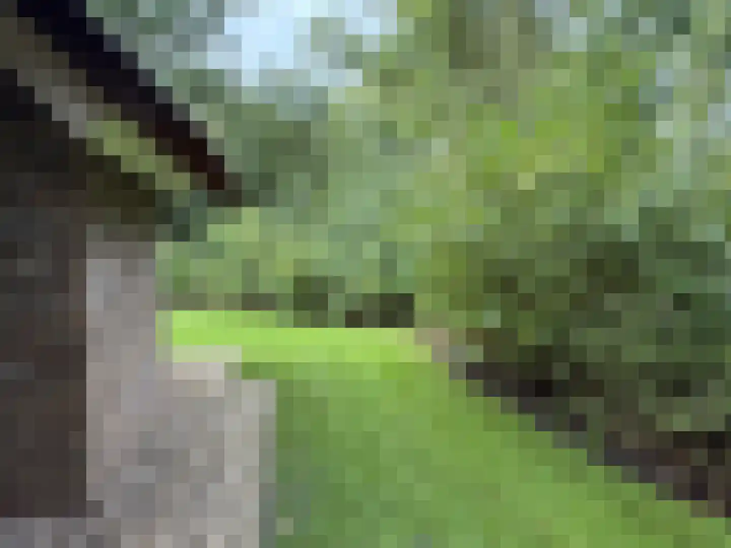 Gijsselterweg 30 5 Ruinen thumbnail 65