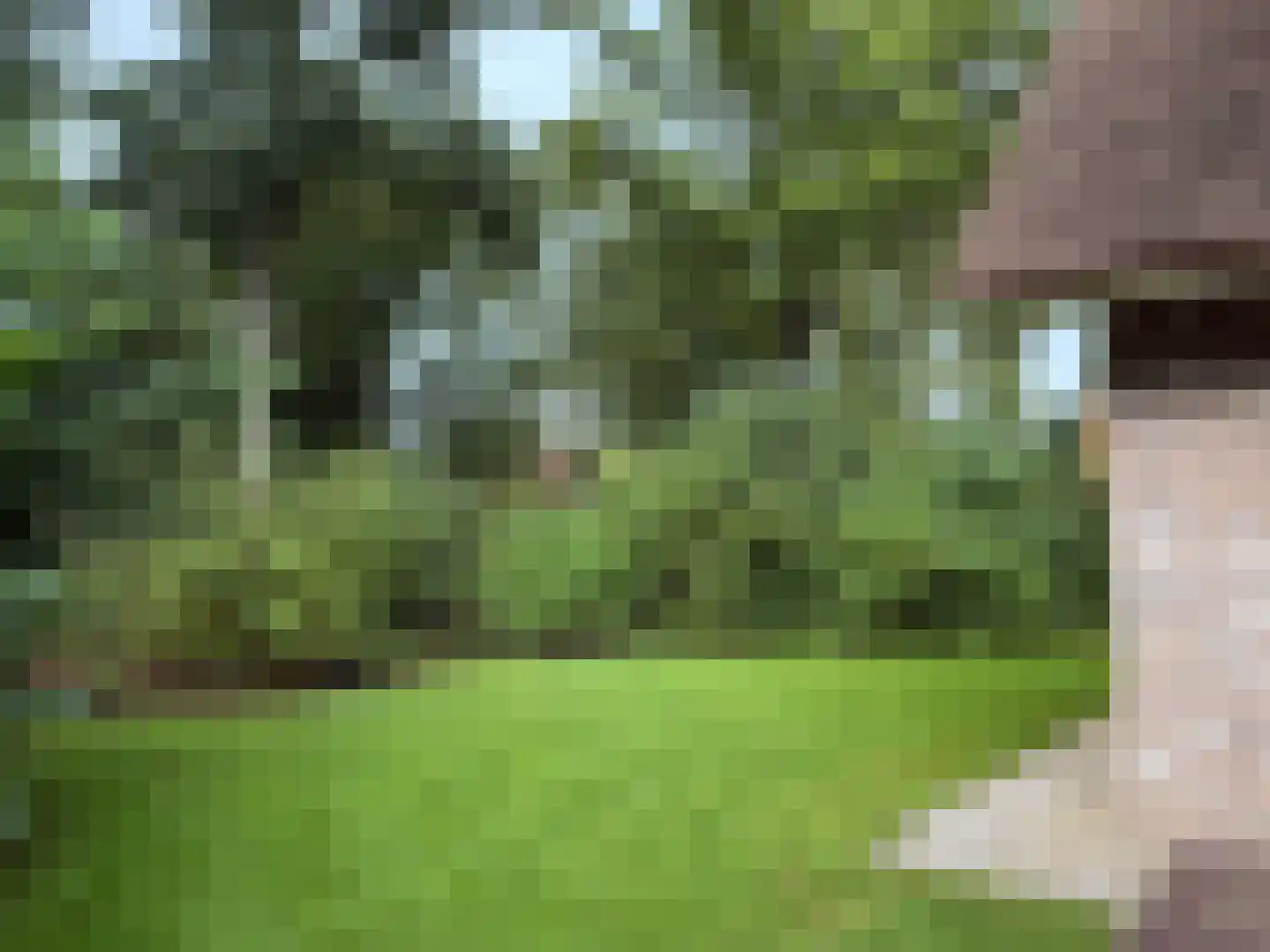 Gijsselterweg 30 5 Ruinen thumbnail 69