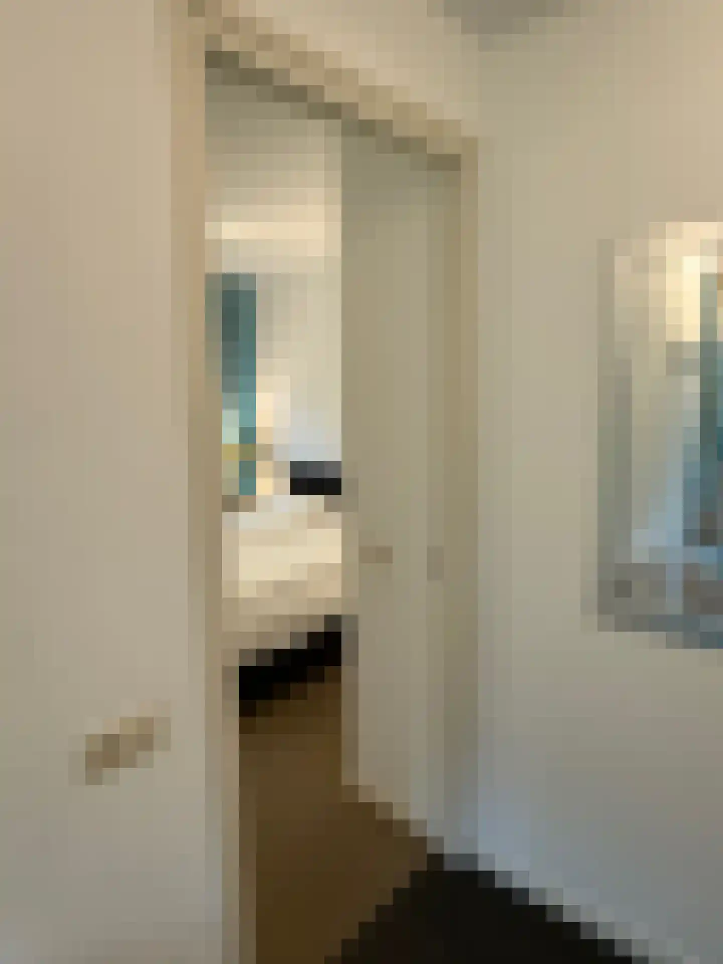 Gijsselterweg 30 5 Ruinen thumbnail 7