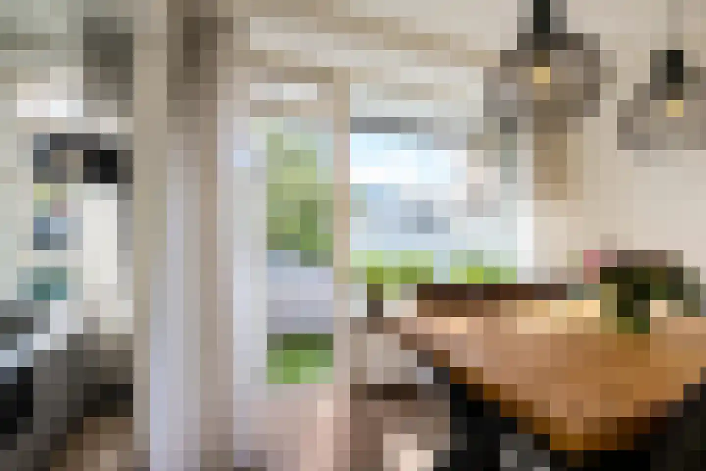 Gijzelaarslaan 18 Groningen thumbnail 16