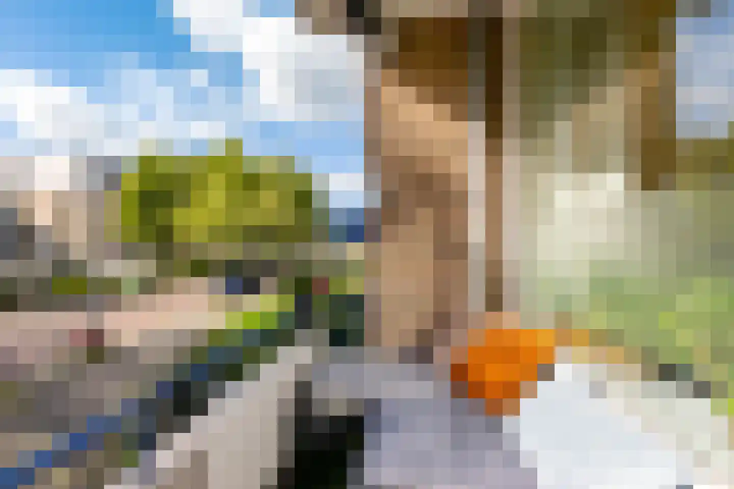 Gijzelaarslaan 18 Groningen thumbnail 17