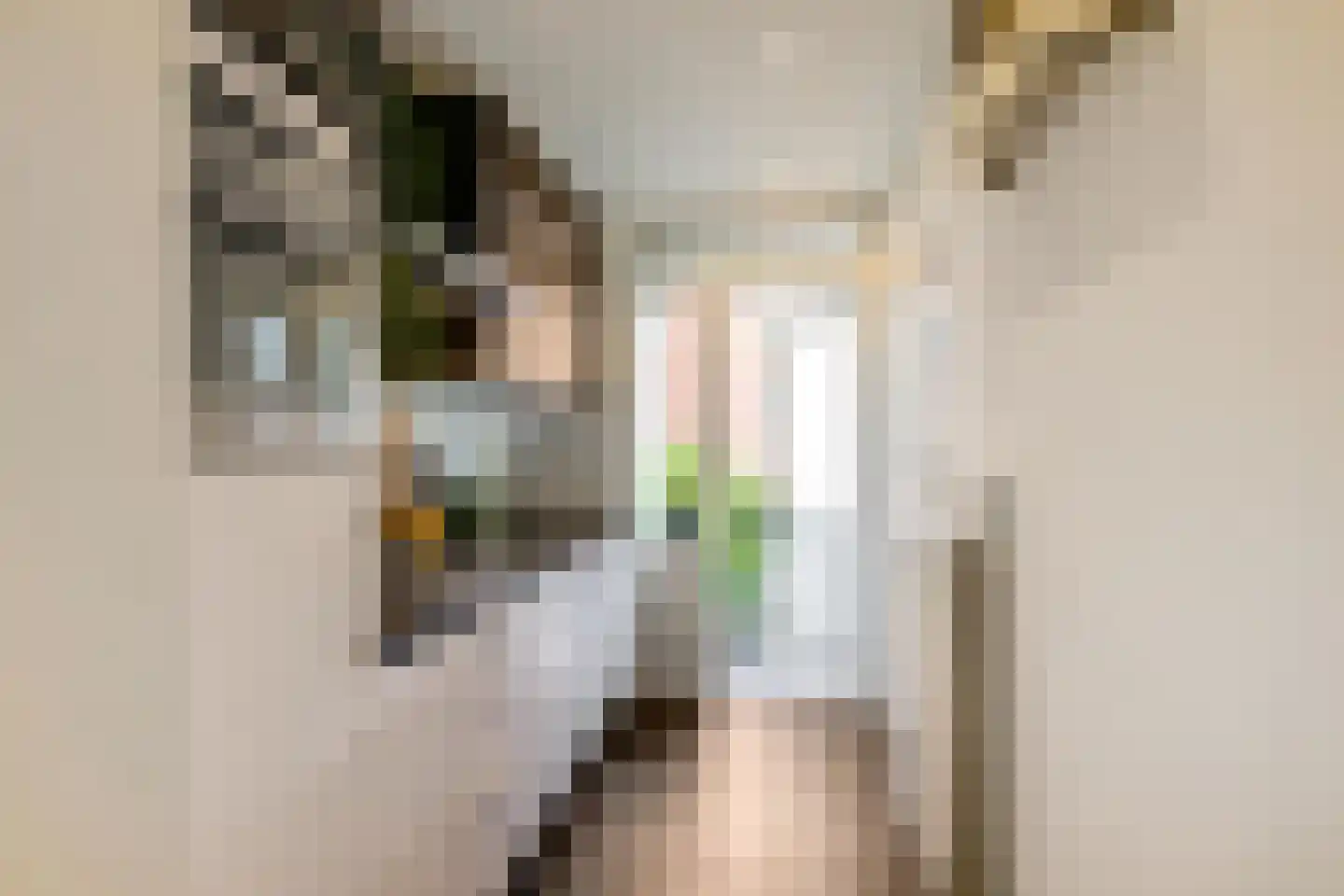 Gijzelaarslaan 18 Groningen thumbnail 19