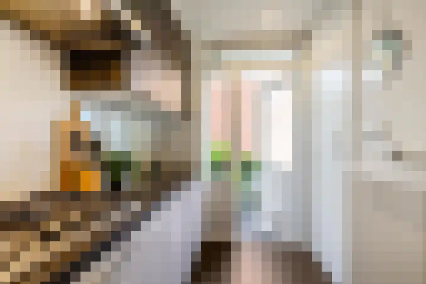 Gijzelaarslaan 18 Groningen thumbnail 20