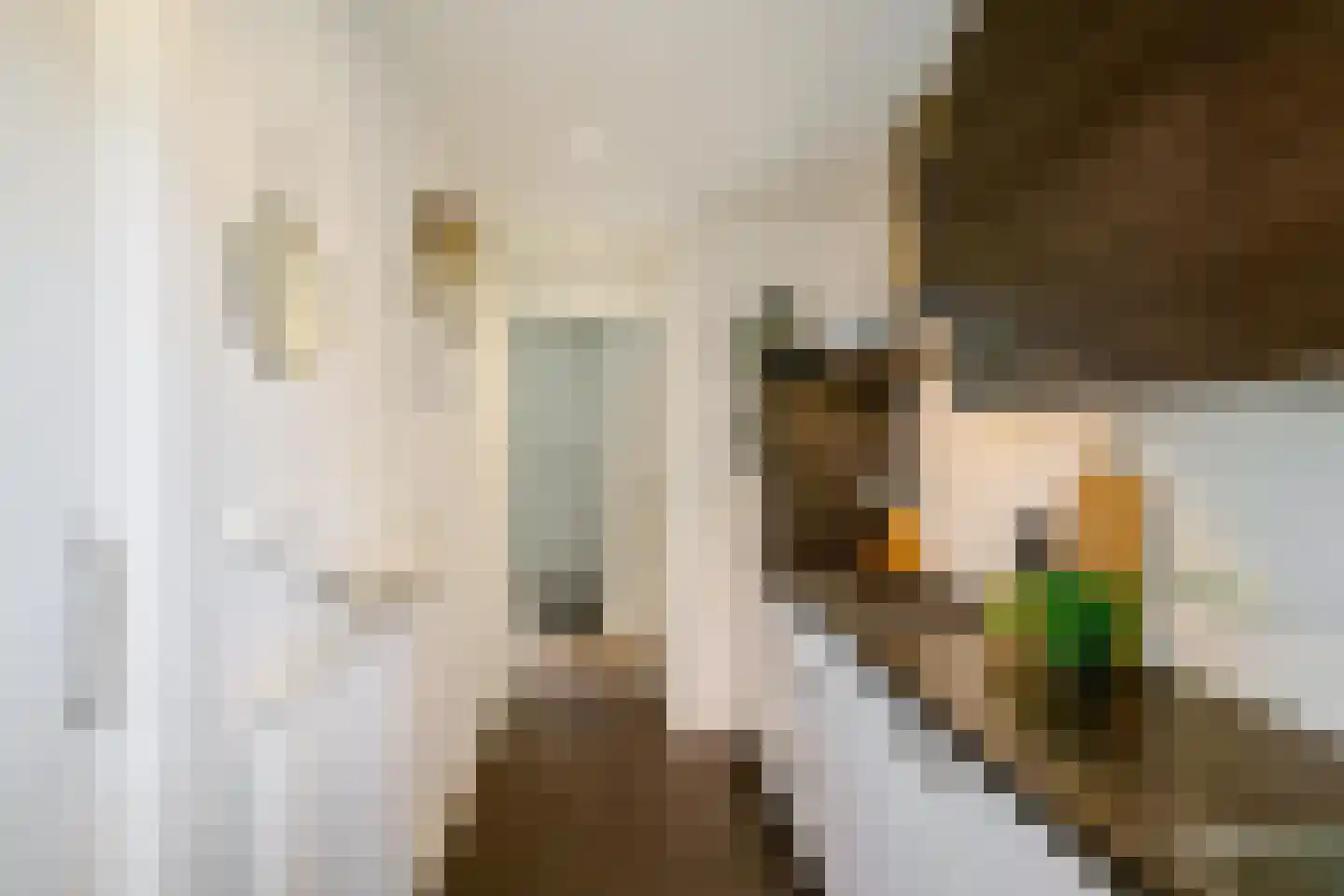 Gijzelaarslaan 18 Groningen thumbnail 21
