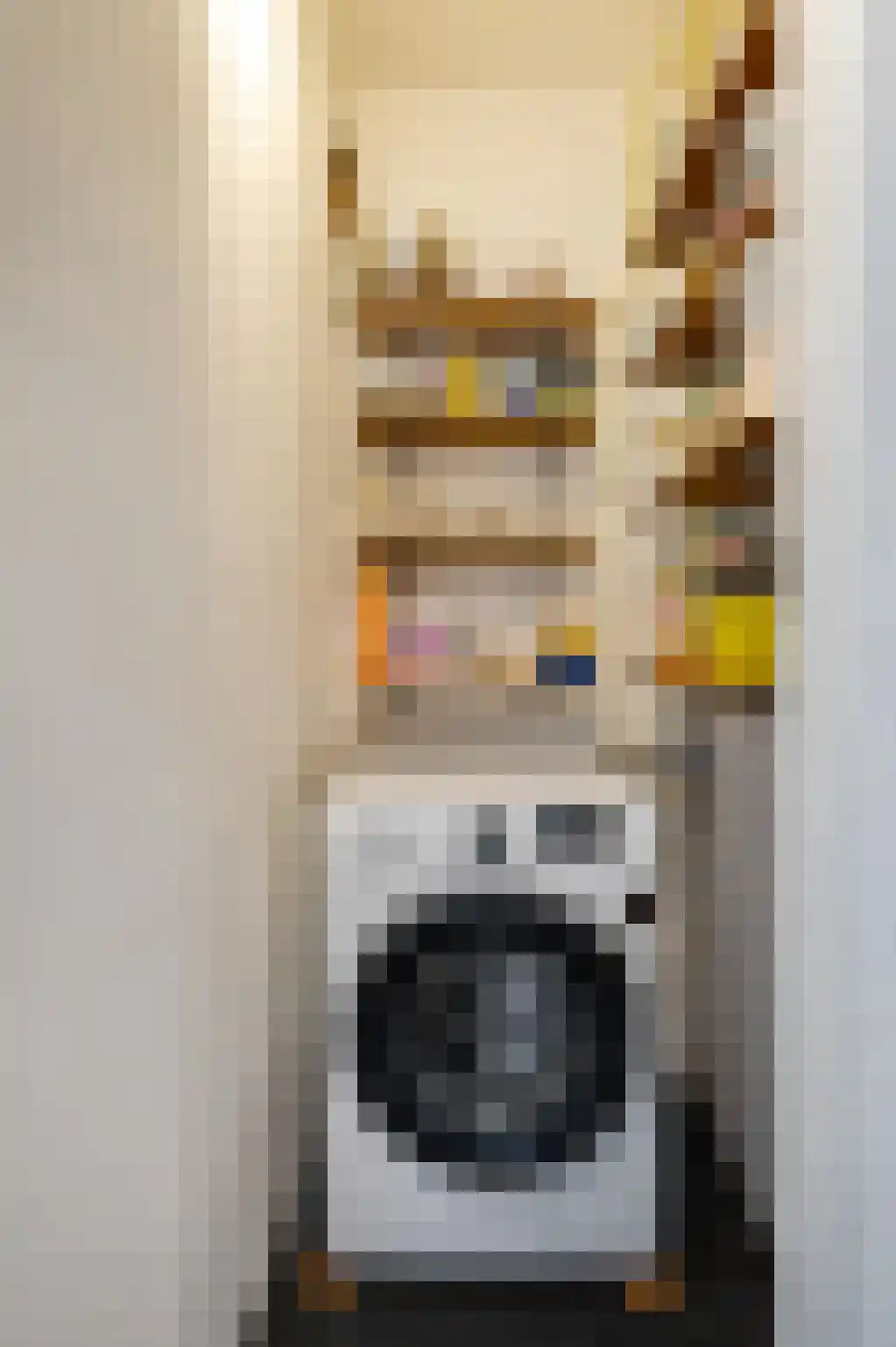 Gijzelaarslaan 18 Groningen thumbnail 22
